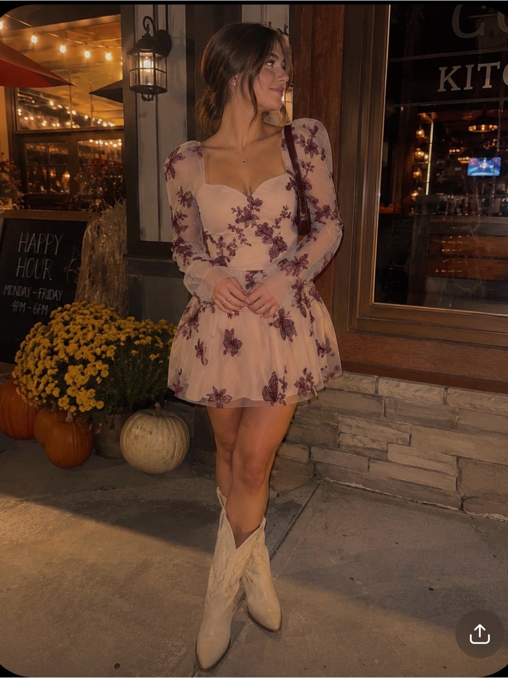 Puff Sleeve Butterfly Embroidered Mini Party Dress Fairycore Whimsigoth